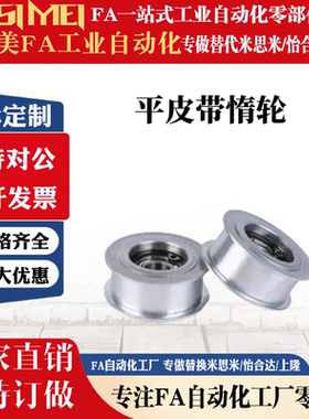 平皮带用惰轮ENG02-D15 D20 D25 D30 D35 40 D50-T21 T27 T32惰轮