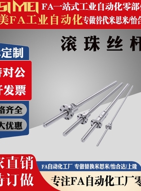 替代米思米滚珠丝杠 BSS/BSSE/BSST/BSX/BSSR8/10/12/15/20/25/32
