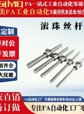 米思米XSVR BSE BSS BSSC1505 1210 1510 1520 2010滚珠丝杆丝杠/