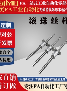 BSWE0802/BSWE1002/BTWP1204 1510 1520 2010 2510-L-T-R滚珠丝杆