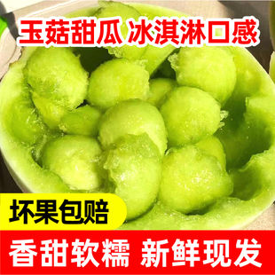 山东玉菇甜瓜新鲜采摘冰淇淋口感当季水果蜜瓜香瓜整箱甜瓜5斤9斤