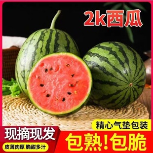 2K全美冰糖麒麟西瓜超甜薄皮沙瓤新鲜水果正宗手扒皮超甜小西瓜