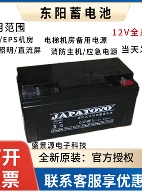 TOYO东洋蓄电池6-FM/GFM12V17A1.2A24AH38AH40AH65A100直流屏消防