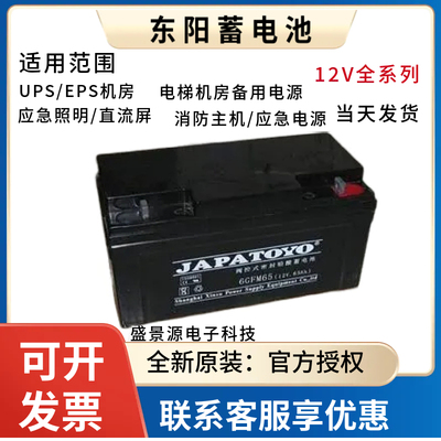 TOYO东洋蓄电池6-FM/GFM12V17A1.2A24AH38AH40AH65A100直流屏消防