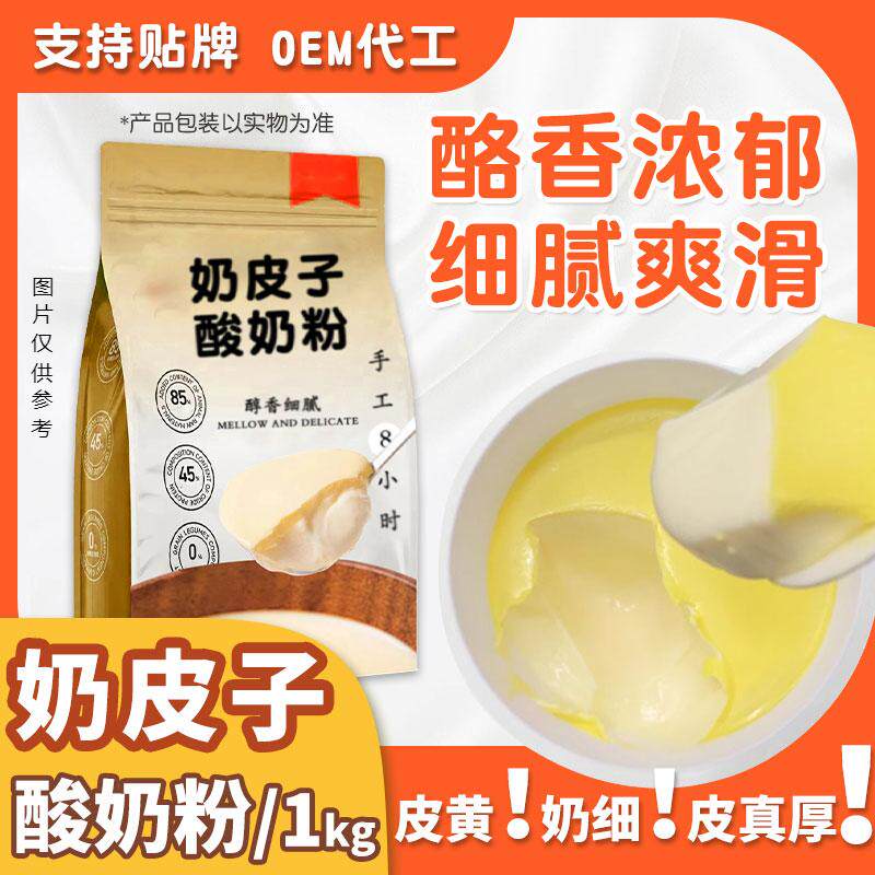态淳奶皮子酸奶粉纯净水版奶皮子酸奶手工原材料发酵菌种餐饮专用