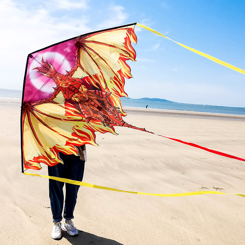 潍坊风筝中国风冰火翼龙新式风筝儿童微风易飞风筝大人专用网红