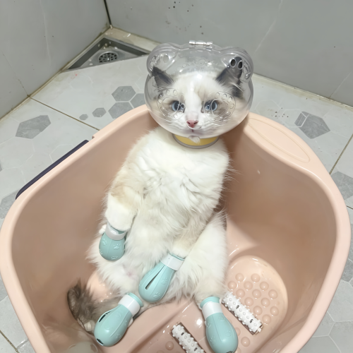 猫咪洗澡神器猫咪防咬头套手套太空头罩防护罩防抓防舔猫项圈嘴套