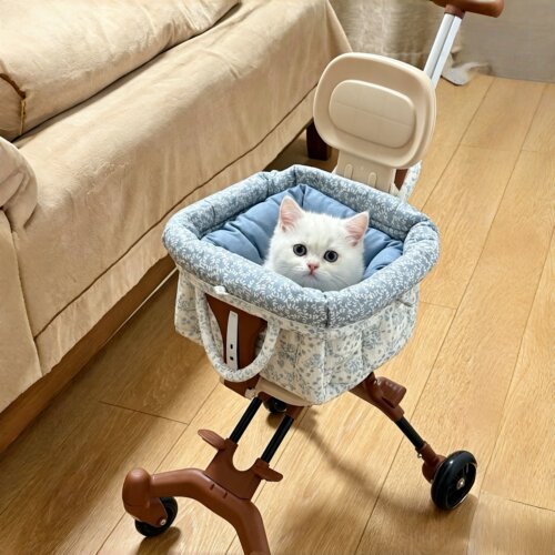 新思路！小推车猫咪社会化训练