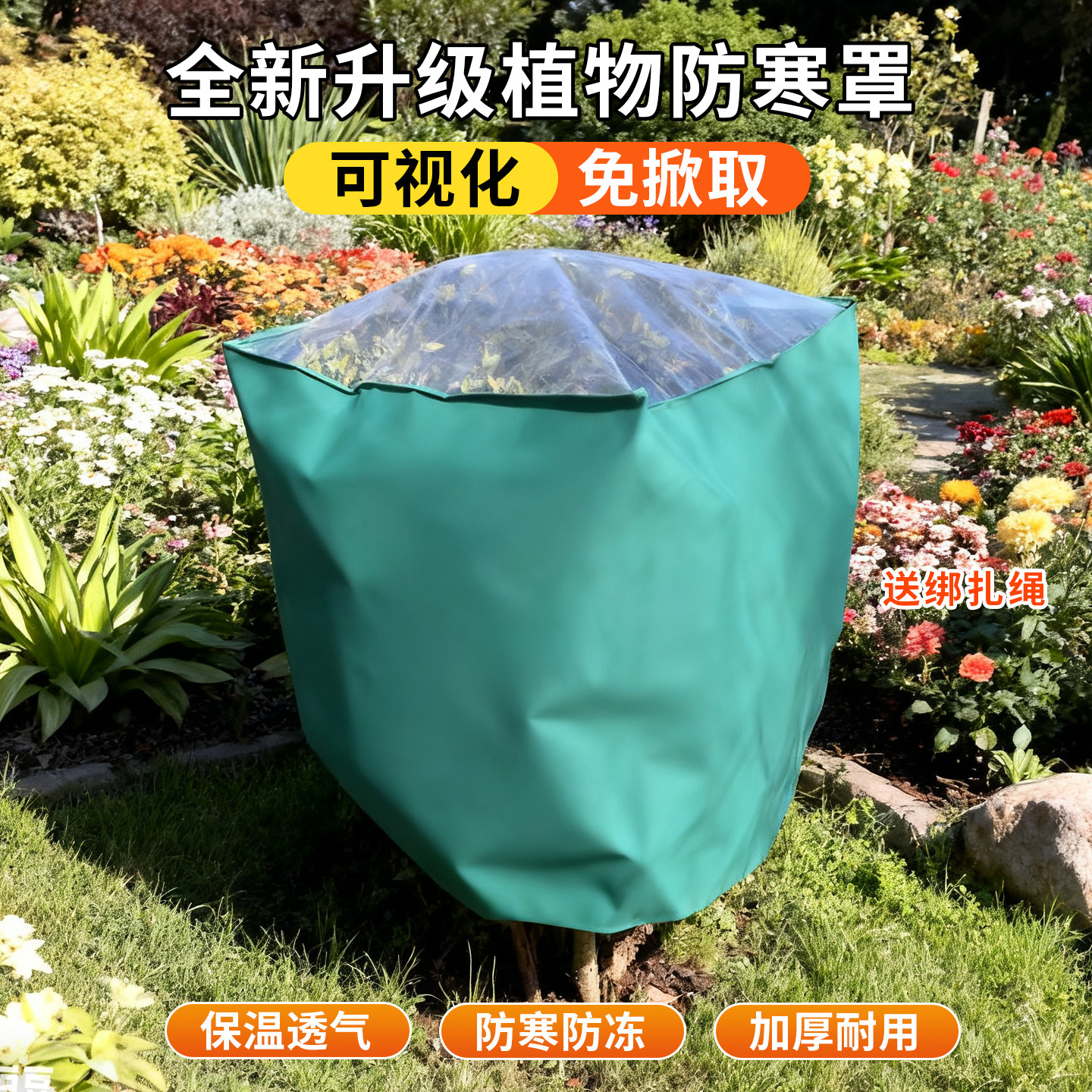 ֲ�ﱣů�ֹ���ľ������������ֲ�����������Ĥ͸��͸���Ӻ����� 7.74Ԫ