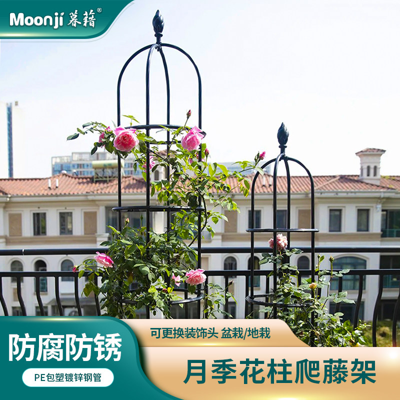 柱形花架爬藤架花盆支架月季蔷薇支撑杆爬藤支架攀藤架玫瑰花架子