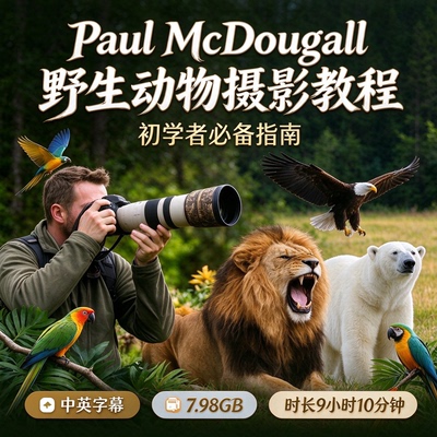 PaulMcDougall野生动物摄影课