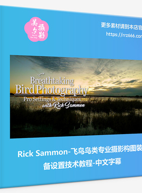 Rick Sammon-飞鸟鸟类专业摄影构图装备设置技术教程-中文字幕