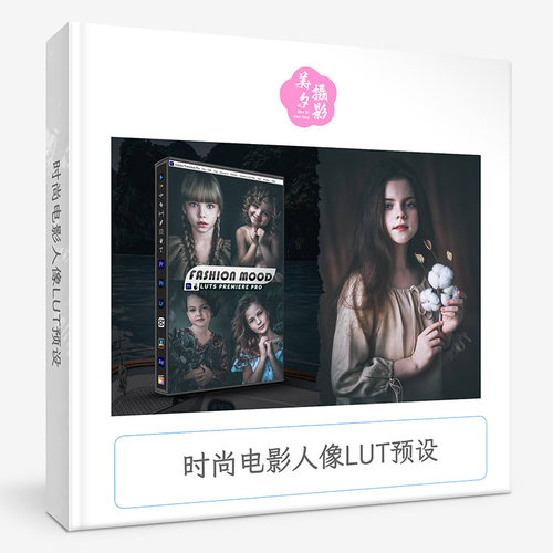 时尚电影人像LUT预设 Fashion Mood Presets Video Premiere Pro