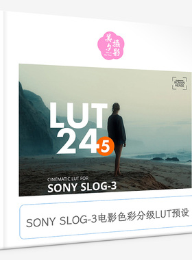 索尼SONY SLOG-3电影色彩分级LUT预设 ROMAN HENSE - LUT 24-5