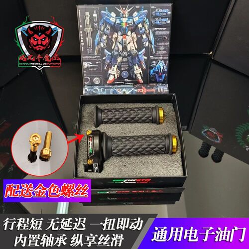 正品NMWGTR电子油门改装