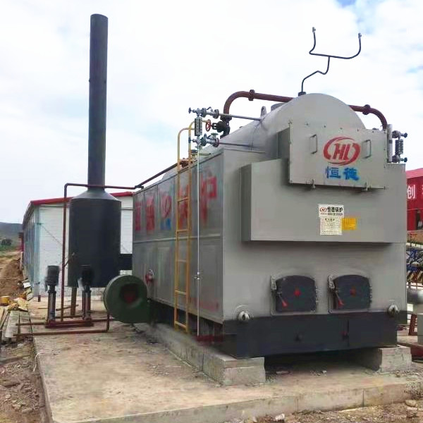 2吨4吨6吨8吨10吨蒸汽锅炉大型工业蒸汽发生器生物质燃气燃气供暖