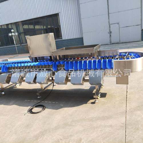 水果称重分选机红薯称重分选机不锈钢分选称土豆分选设备