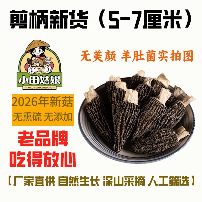 小田精选羊肚菌干货26年新货头茬厚肉足干家用菌菇煲汤滋补羊肚菇