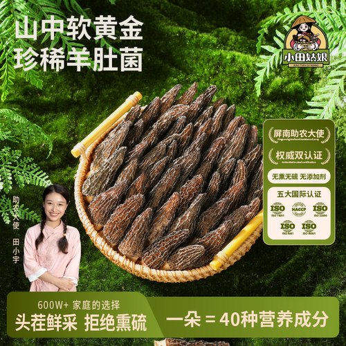 小田姑娘羊肚菌头茬菌菇