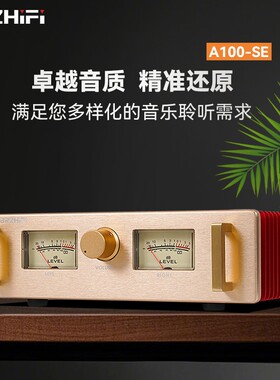 伟良A100SE HIFI发烧级功放机 家用桌面功率放大器 胆机人声音质
