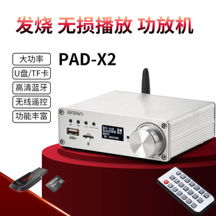 TF卡播放蓝牙5.0多功能大功率130W TPA3250发烧hifi数字功放机U盘