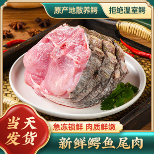 汇鲜法则 新鲜养殖鳄鱼肉活体宰杀鲜活鳄肉尾巴肉段 鳄鱼尾肉2斤