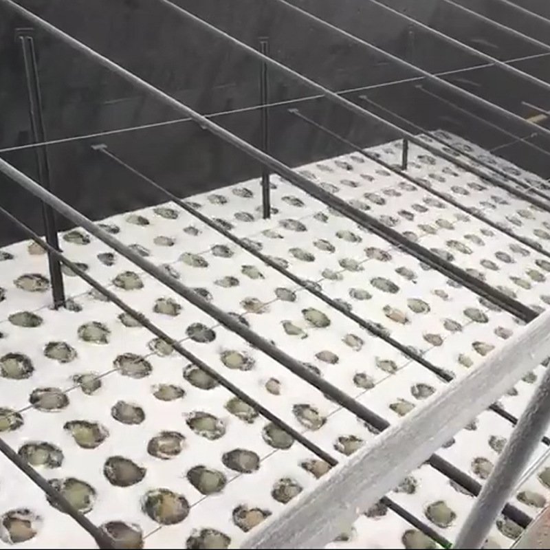 品虹拱形纯钛合金曝气盘 臭氧专用曝气头球型钛曝气盘 厂家供应