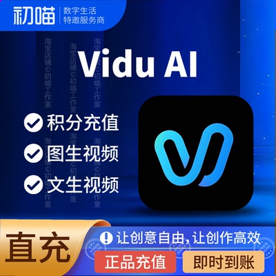 vidu积分Ai文生图片视频工具体验