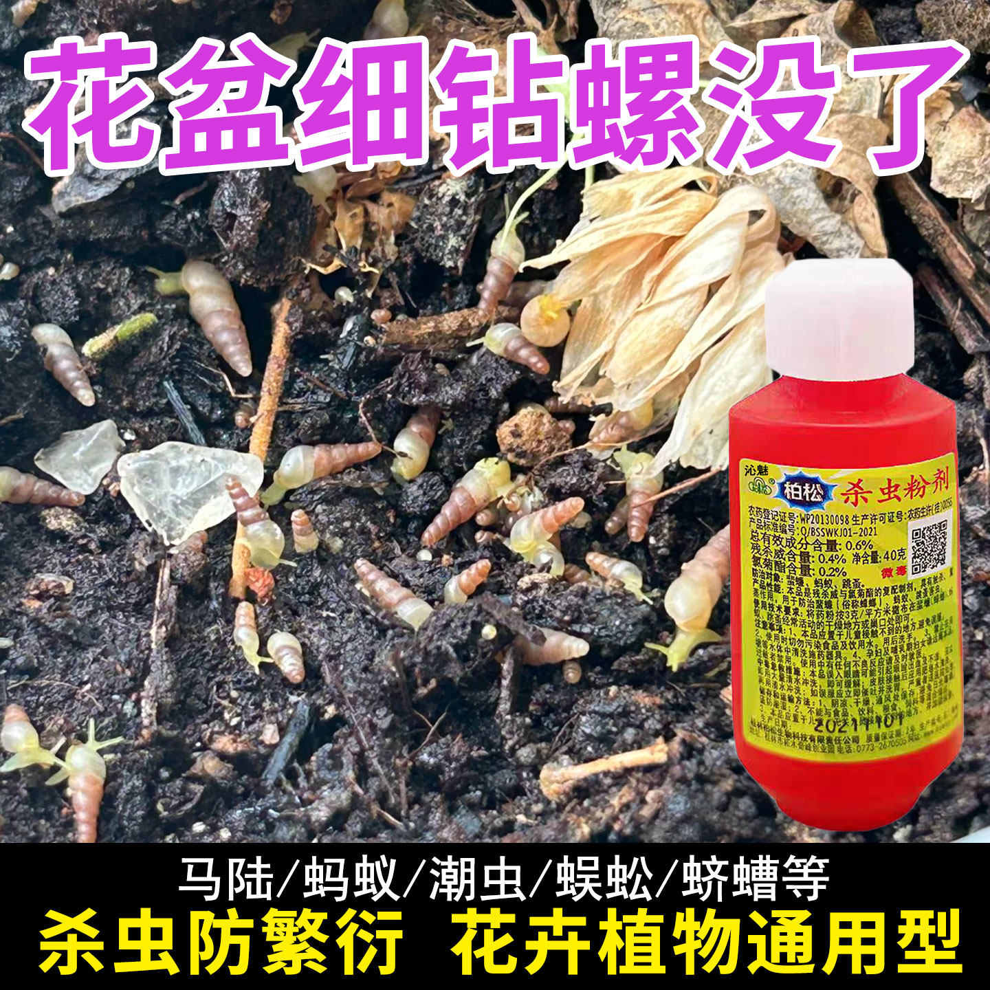 细钻螺花盆土壤除虫家用盆栽杀虫剂尖螺蚂蚁植物花卉地上下驱虫hn