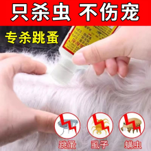 小狗狗去跳蚤药百虫灵杀虫粉灭床上跳蚤家用猫咪宠物除体外虱子xf