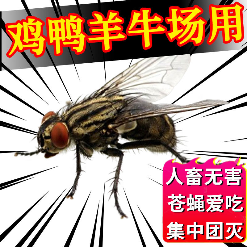 养殖场苍蝇药长效灭蝇