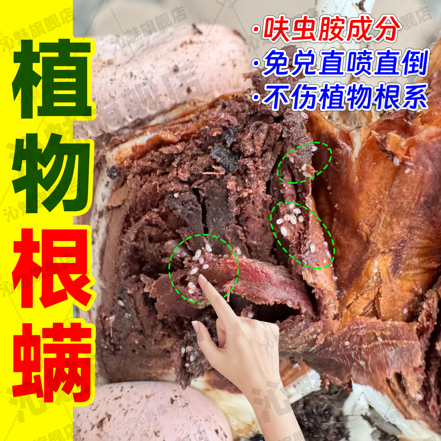 植物根螨杀虫剂专用灭花卉土壤底下害虫土螨食腐螨小白虫除虫药jq