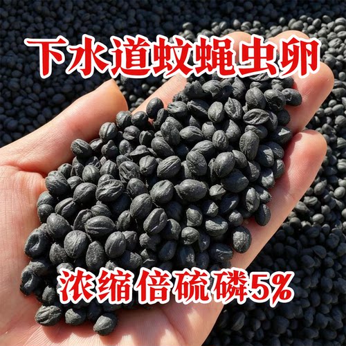 下水道蚊子幼虫苍蝇卵倍硫磷5%臭水沟厕所除蛆孑孓池塘颗粒剂wg