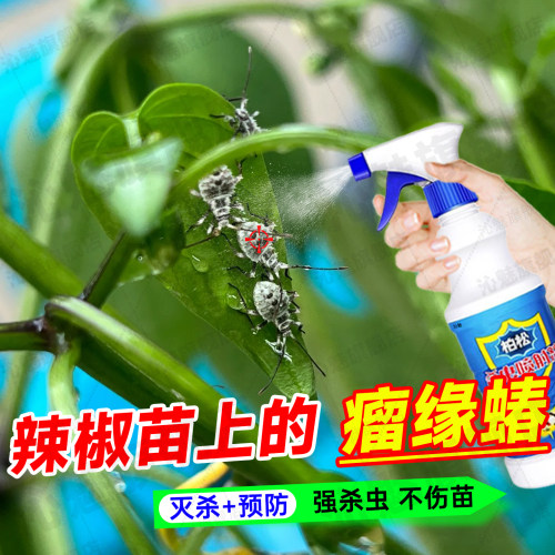 辣椒瘤缘蝽象除虫剂长虫用什么药