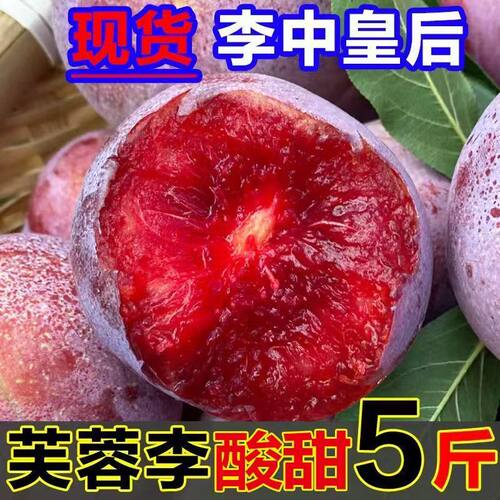 芙蓉李现摘现发新鲜红心李当季脆李子孕妇水果三华李