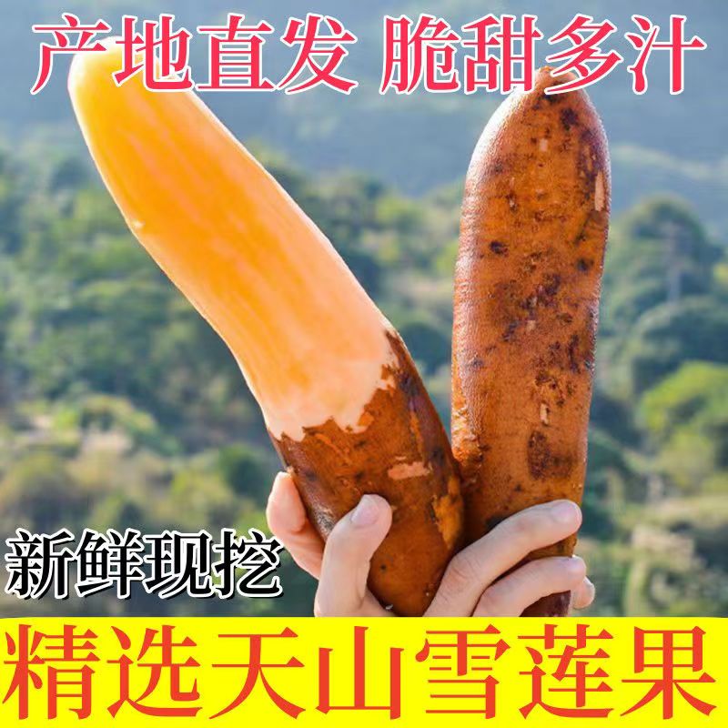 云南天山雪莲果新鲜水果当季整箱雪莲红心水莲果一级黄心雪连