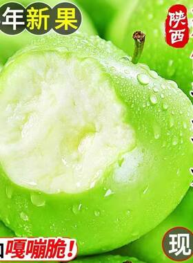 山西青苹果新鲜水果整箱5斤当季现摘酸脆孕妇绿苹果应季时令玉林