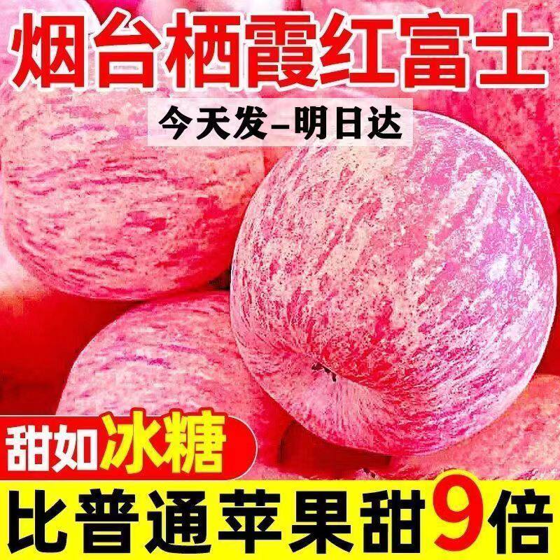 2026新果山东烟台苹果水果栖霞红富士正宗甜脆好吃新鲜不打蜡