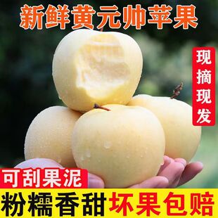 山东黄金帅沙苹果粉面刮泥黄元帅新鲜水果黄香蕉甜面5斤3斤包邮