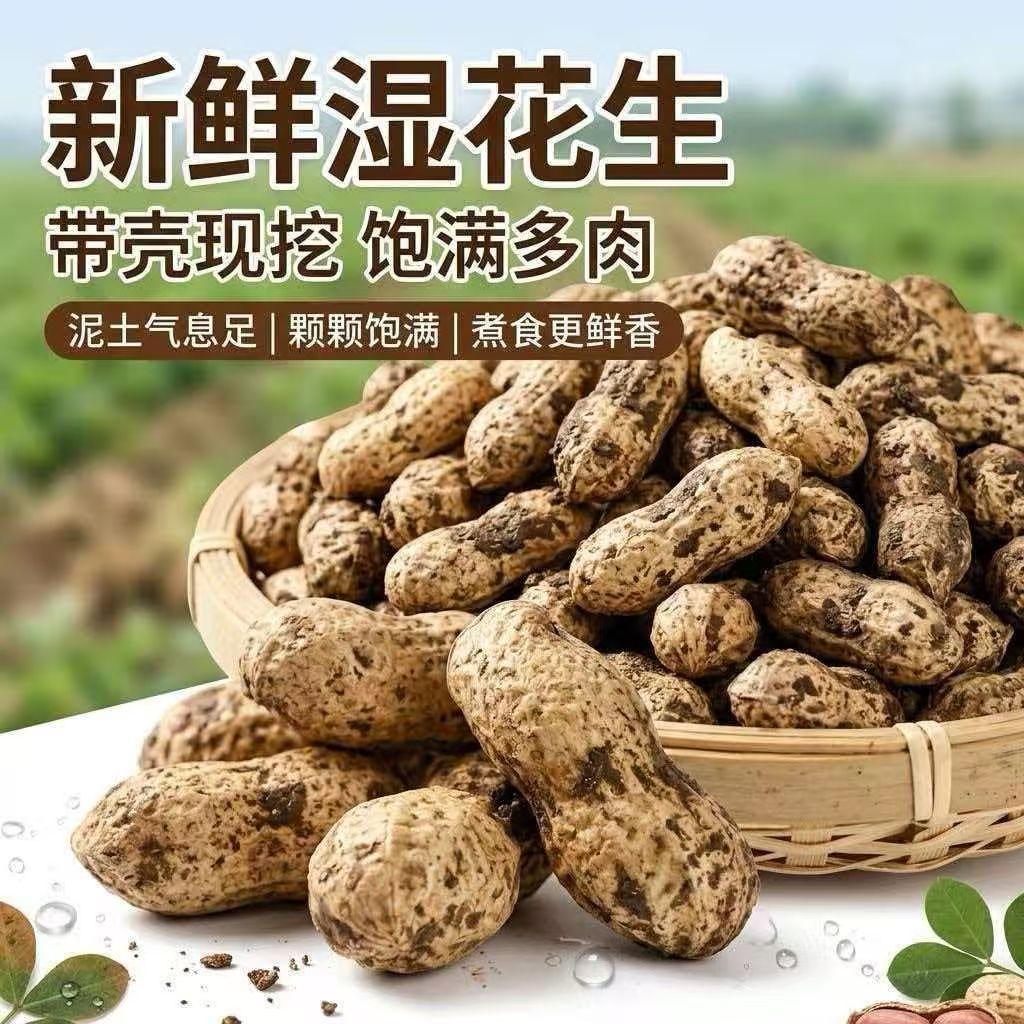 【当季新鲜花生】现挖湿花生产地直发带壳农家粉鲜花生可水煮包邮