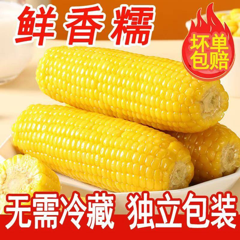 精选商超黄糯玉米真空黏糯玉米棒黄苞米新鲜黄玉米非即食健身低脂