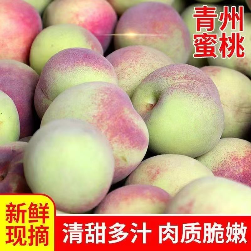 黄桃黄金蜜桃子新鲜水果当季整箱大果陕西蜜桃毛脆甜桃包邮5斤