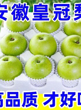 梨子新鲜水果正宗安徽砀山青梨10斤当季包邮整箱翠冠梨皇冠梨雪梨