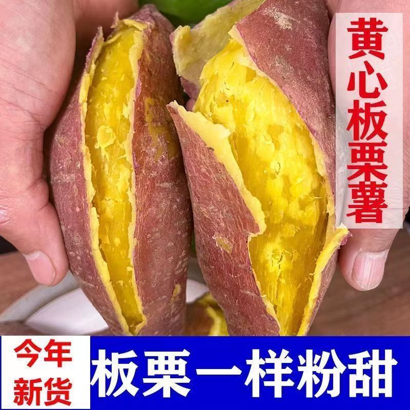 2026年现挖板栗红薯地瓜蜜薯整箱农家粉糯粗粮新鲜番薯包邮