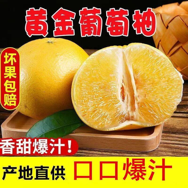福建漳州黄金葡萄柚子新鲜水果应季鲜果黄肉蜜柚压榨汁果饮甜西柚