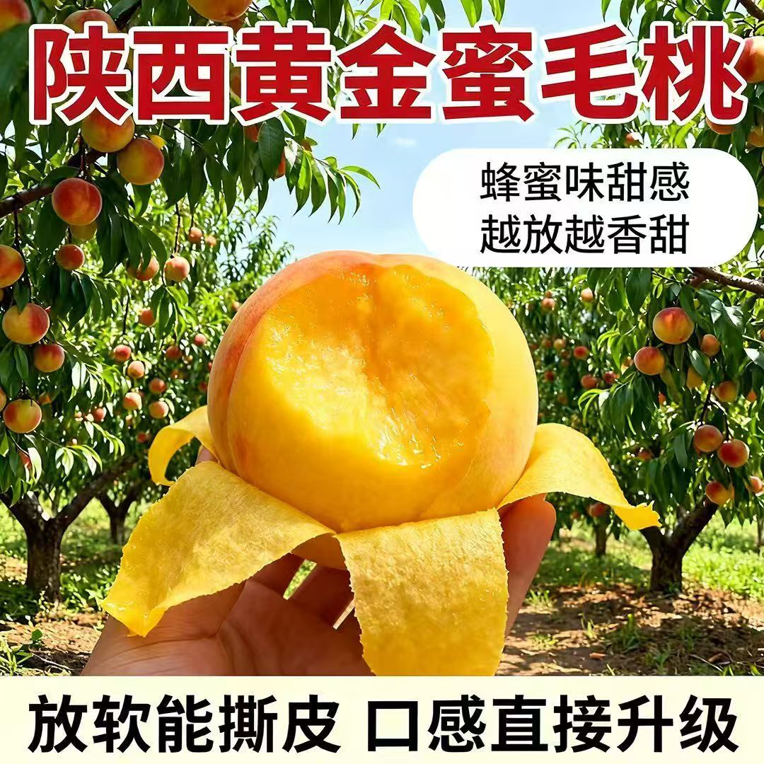 陕西黄桃应当季水果产地直发桃子整件包邮新鲜黄金蜜毛桃5斤包邮