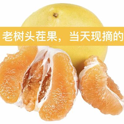 【香甜爆汁】正宗黄心蜜柚薄皮广东黄肉柚子头茬老树大果新鲜水果