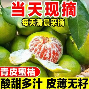 云南蜜桔橘子小果酸甜青皮蜜橘新鲜桔子水果5斤现摘当季柑橘整箱