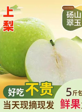 皇冠梨正宗青梨新鲜水果梨子当季整箱包邮砀山梨雪梨青皮蜜梨