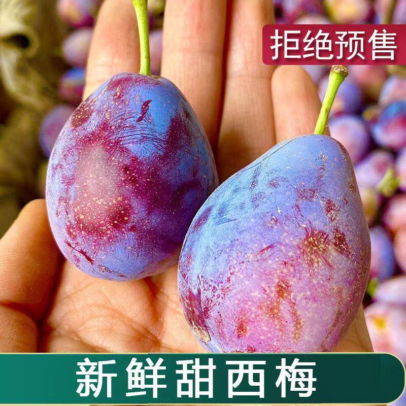新鲜西梅进口品种鲜果法兰西甜李子新鲜当季水果现摘现发整箱包邮